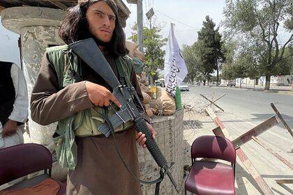 «Талибан» заявил о прекращении производства наркотиков