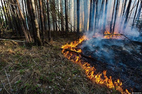 Под Екатеринбургом эвакуировали санаторий "Озеро Глухое" из-за лесного пожара