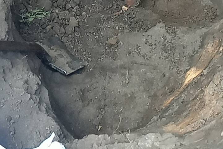 В Курске на месте расстрелов жителей в Знаменской роще в период оккупации поисковики нашли останки 29 человек