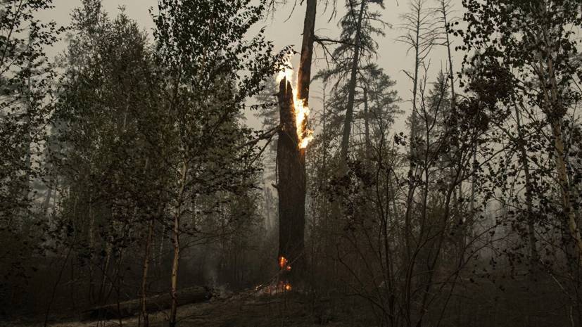 Трутнев рассказал о ситуации с лесными пожарами в Якутии
