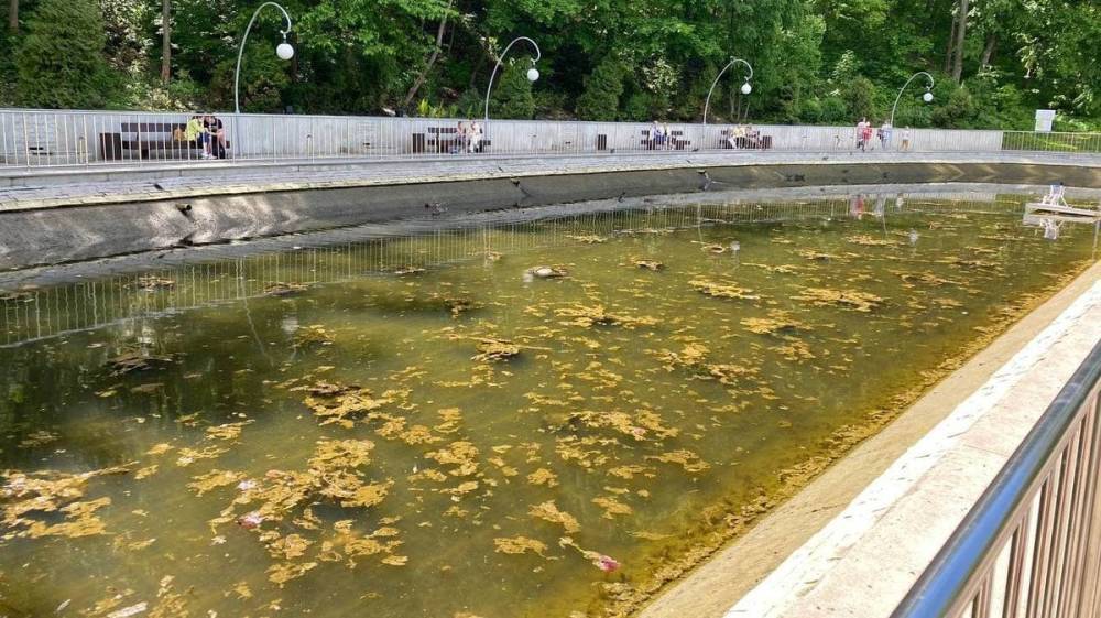 В Воронеже оздоровят захваченный водорослями пруд в Центральном парке