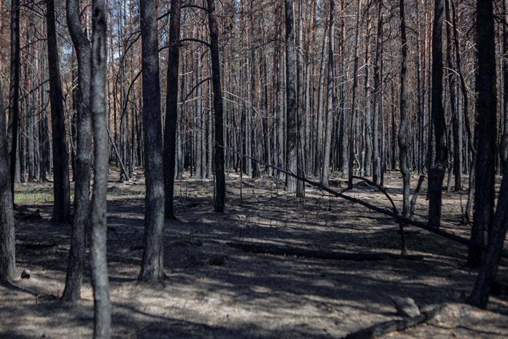 На юге Челябинской области создают две новые пожарные части