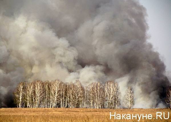 На Среднем Урале спустя неделю локализовали крупный лесной пожар под Камышловом