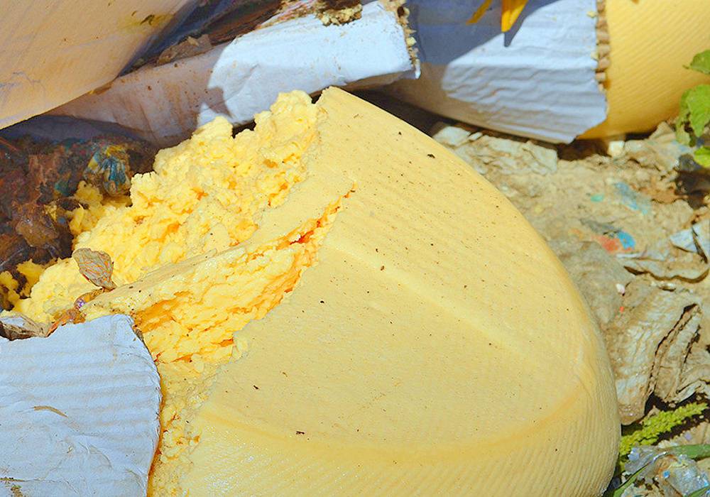 В Москве раздавили лопатами более 110 кг санкционных сыров