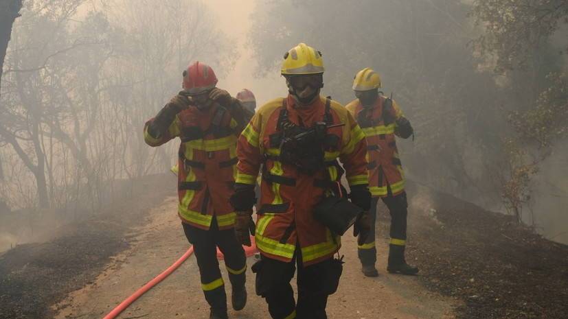Во Франции из-за лесных пожаров пострадали 27 человек