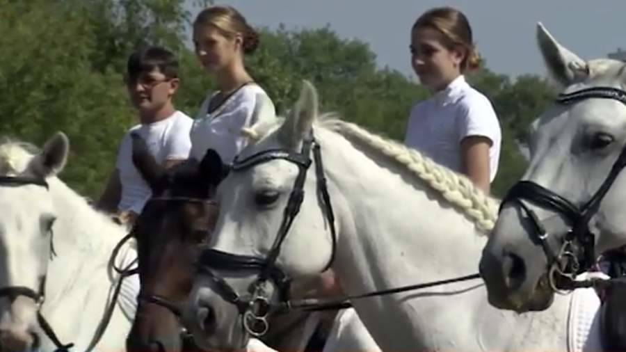 Баженов помог спасти конно-спортивный клуб в Москве