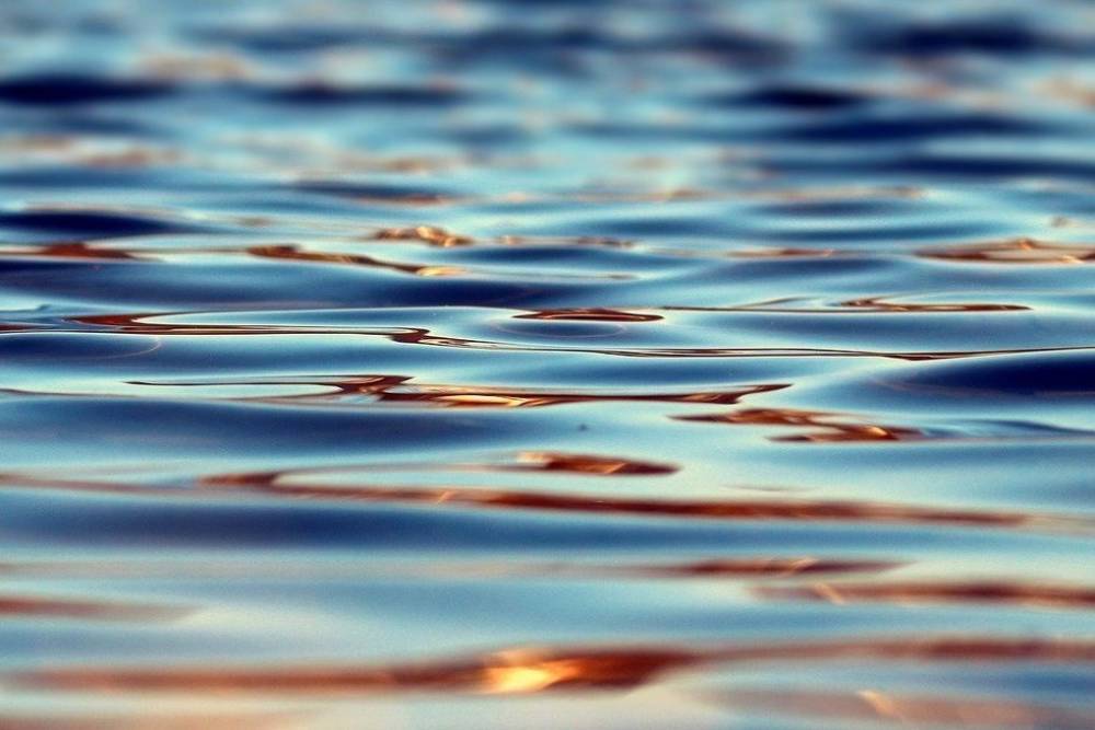 22 человека утонуло в водоёмах за год в Псковской области