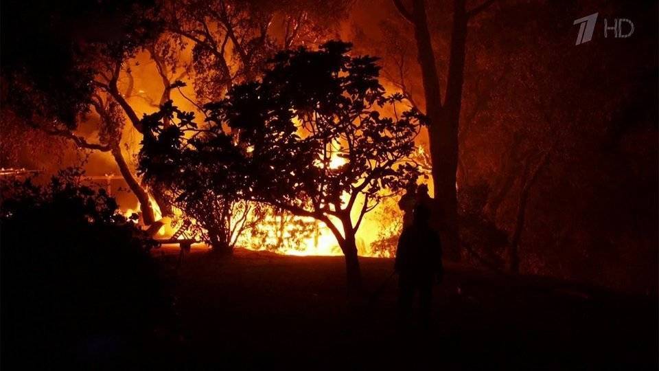 Природные пожары почти добрались до Французской Ривьеры