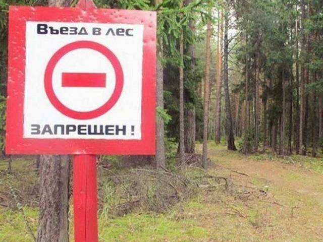 В Миассе запретили вход и въезд в леса