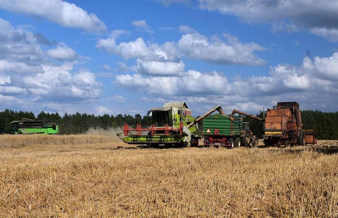 Хмельницкая область лидирует по урожайности ранних зерновых
