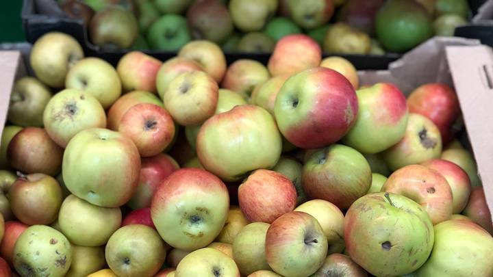 Гастроэнтеролог раскрыла опасность яблочной диеты