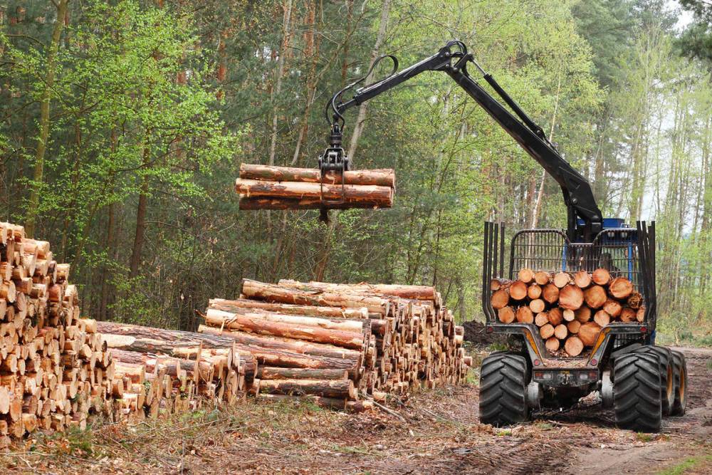 В Тверской области мужчина построил лесопилку на пашне