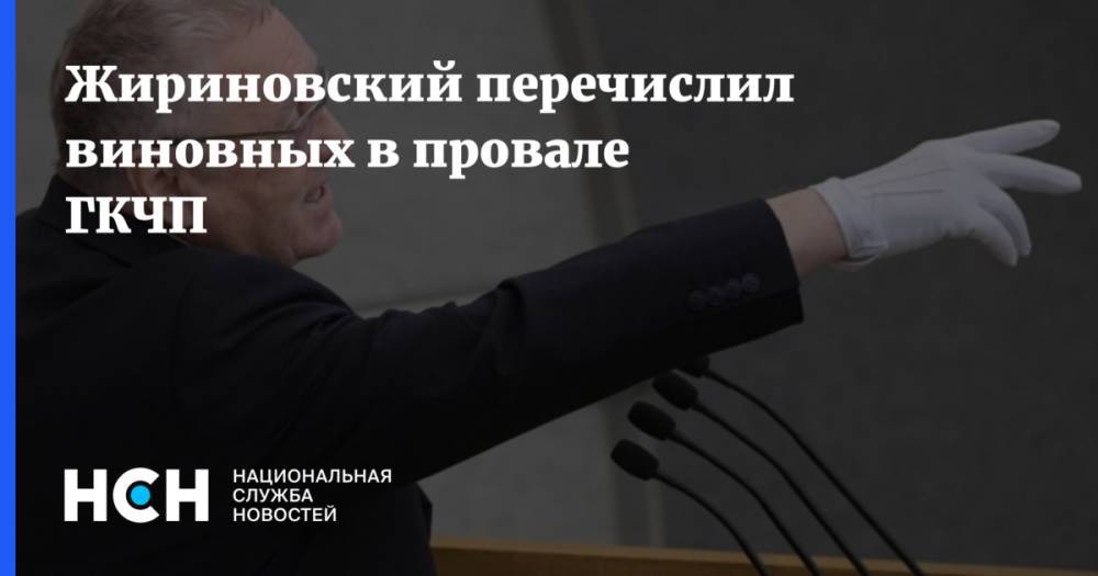 Жириновский перечислил виновных в провале ГКЧП