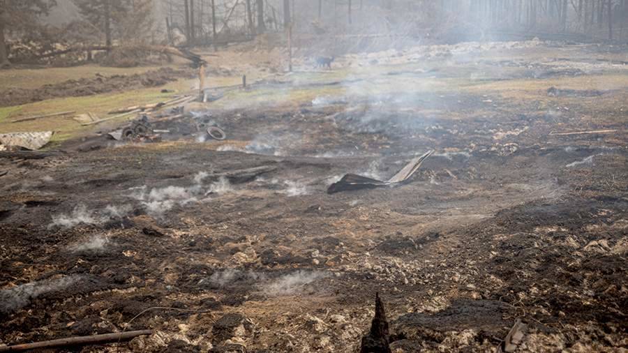 В Рослеcхозе заявили об остановке распространения пожаров в Якутии