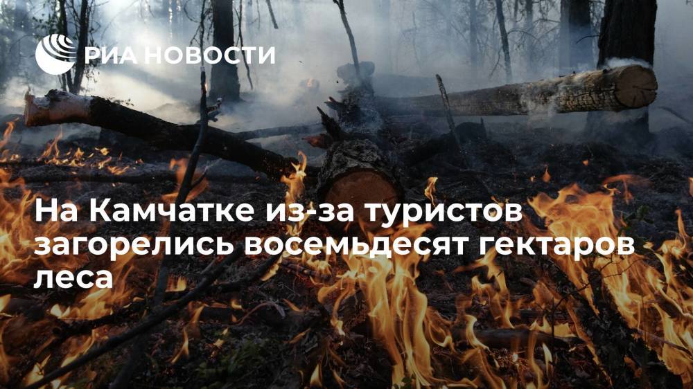 На Камчатке из-за туристов загорелись восемьдесят гектаров леса в районе реки Карымшина