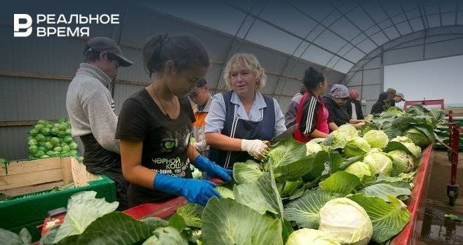 В Татарстане за неделю снизились цены на большую часть продуктов «борщевого набора»