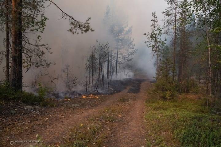 В Карелии продолжают действовать пять лесных пожаров