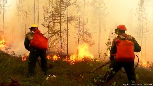 Глава Якутии заявил о возбуждении уголовных дел из-за лесных пожаров в регионе