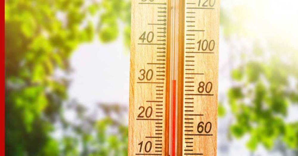 Жара до +40°C и выше придет в несколько регионов России
