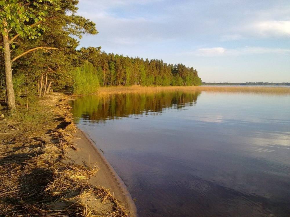 Всем семейством слегли: купание в Судаковском озере может быть опасно для жизни