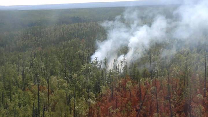 Новости на "России 24". Пожары в Якутии тушат более двух тысяч человек