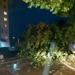 Во время урагана во Львове погибли два человека. Фото