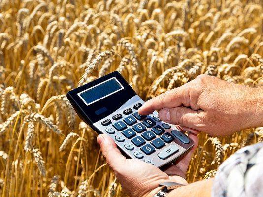 Минсельхоз: Кредитование полевых работ в АПК выросло на треть
