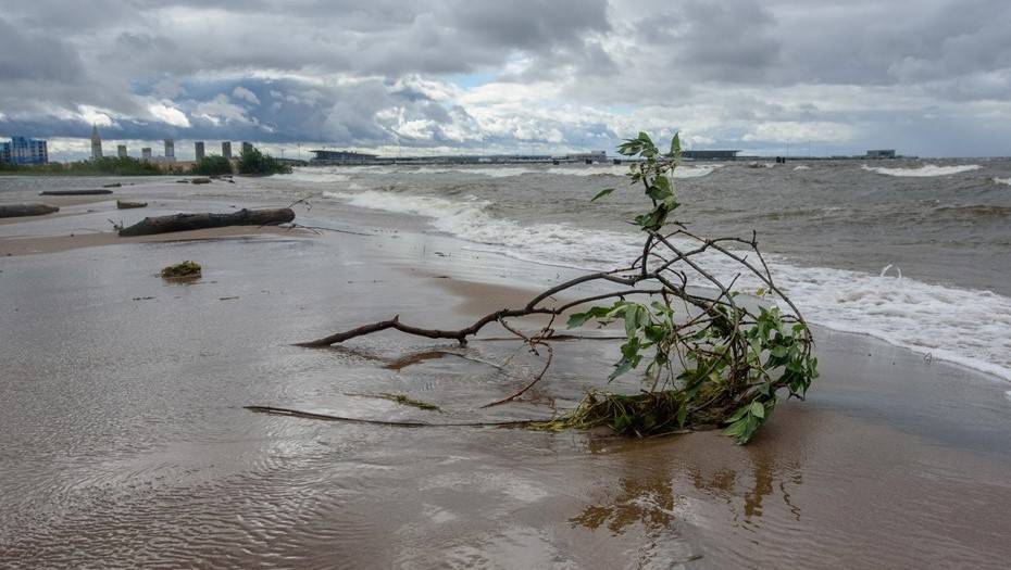 Спасатели предупредили о шторме в Петербурге 3 августа