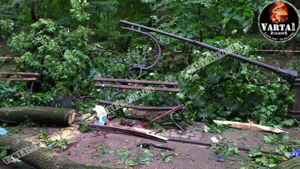 Во Львове во время урагана парня с девушкой убило дерево