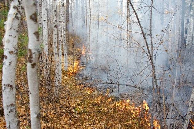 Задымлённость от пожаров в Якутии сохранится до конца недели