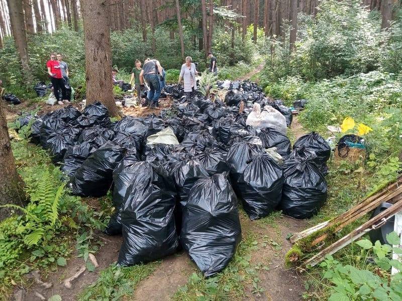 326 мешков мусора. Эко-активисты расчищали свалку в лесу под Смоленском
