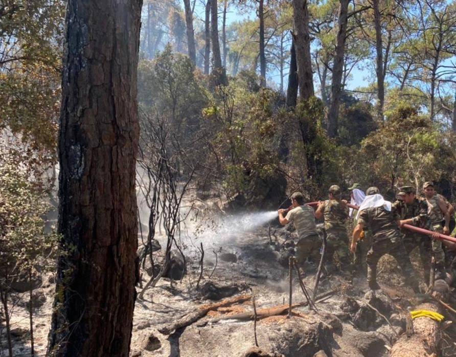Азербайджанские пожарные продолжают бороться с лесными пожарами в Турции (ФОТО/ВИДЕО)