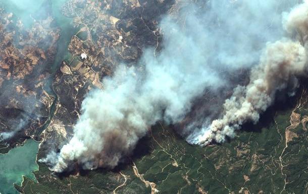 Дети огня. Причины лесных пожаров в Турции