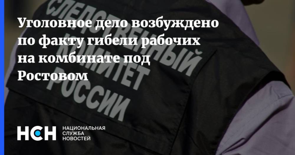 Уголовное дело возбуждено по факту гибели рабочих на комбинате под Ростовом