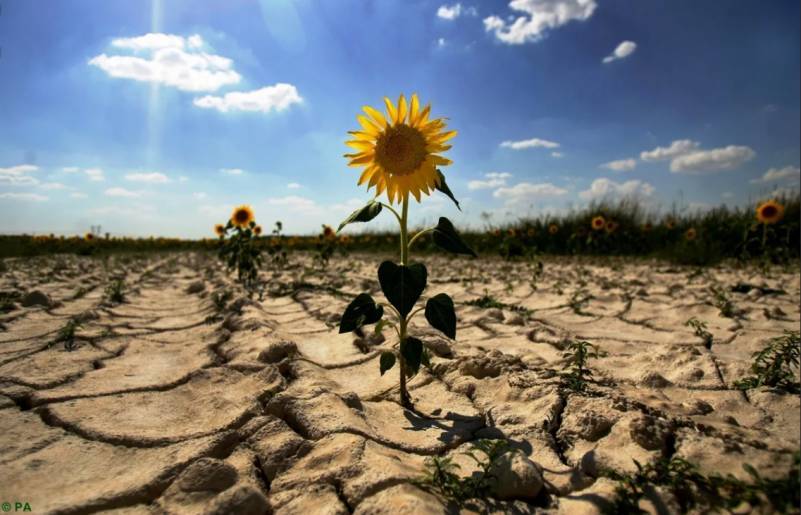 Жителям России дали прогноз на август: Какие регионы ждёт засуха