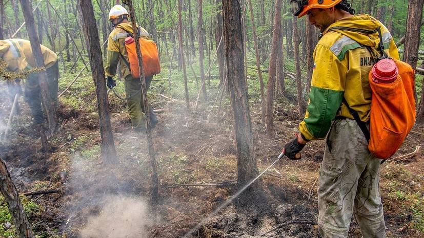 В России действует 125 лесных пожаров