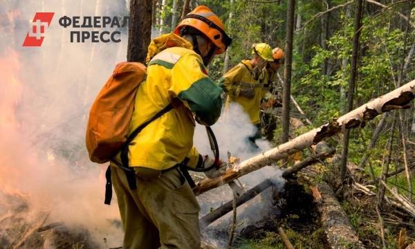 К тушению пожара в курортной зоне Камчатки подключили МЧС