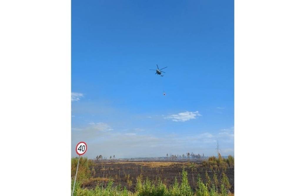 Лесной пожар в Куярском лесничестве Марий Эл тушат два вертолета