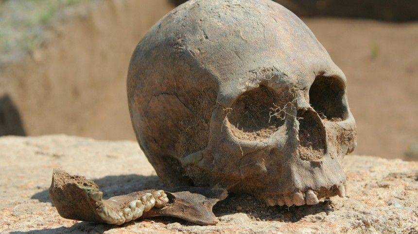 Человеческие останки нашли на участке в Ленобласти: похоронили в тряпке
