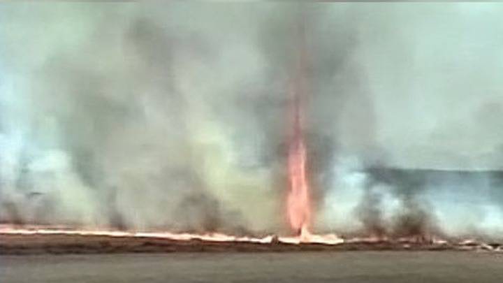 Жители Башкирии сняли на видео огненный торнадо на пастбище