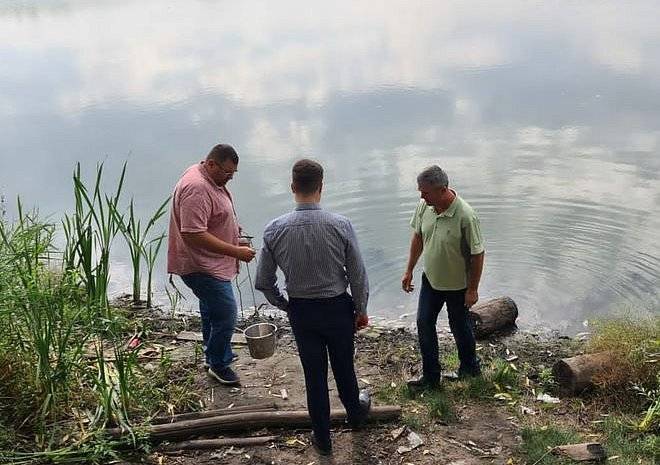 Депутат Рязанской облдумы отреагировал на сообщение о гибели рыбы в реке Дубянка