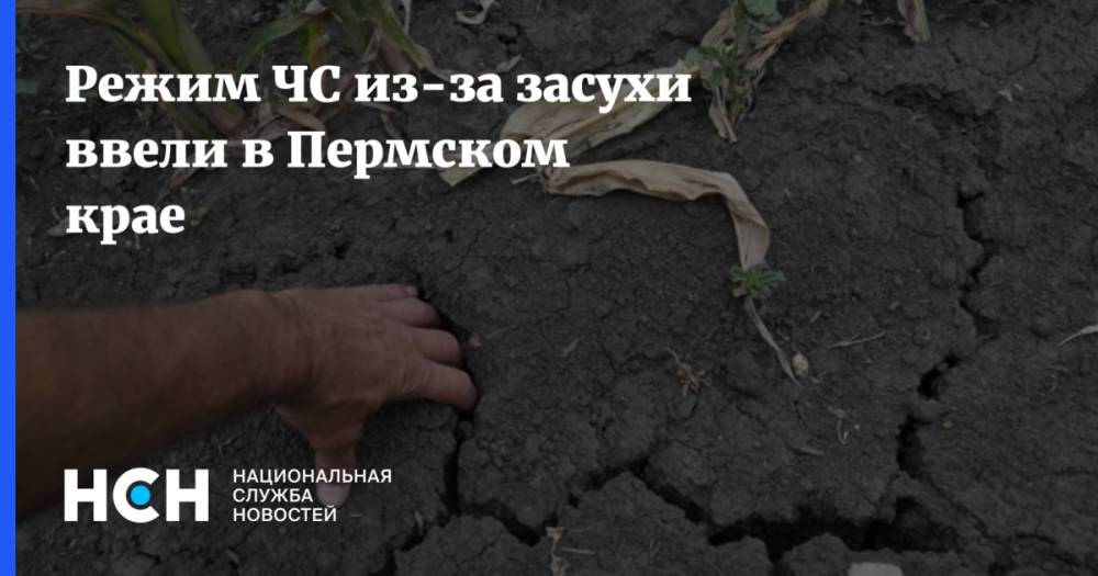 Режим ЧС из-за засухи ввели в Пермском крае