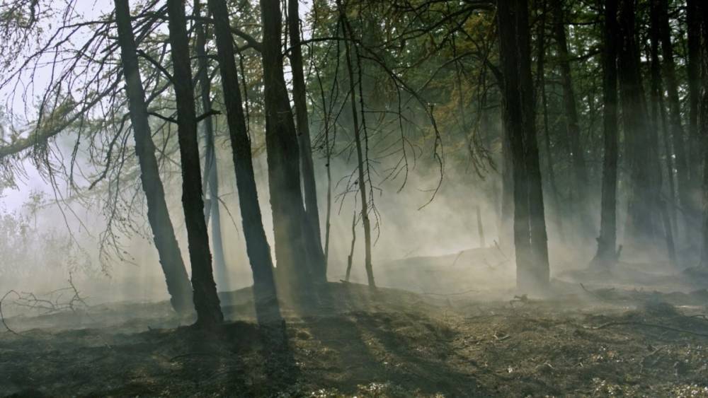 Пожары в республиках Мордовия и Марий Эл угрожают населённым пунктам