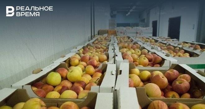 В Татарстане организовали акцию в поддержку местных садоводов, продающих яблоки