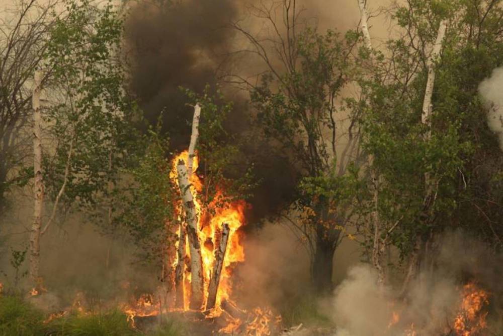 В Якутии за сутки было потушено 10 пожаров