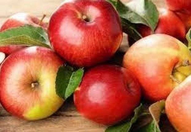 Диетолог назвал случаи, когда яблоки вредят здоровью
