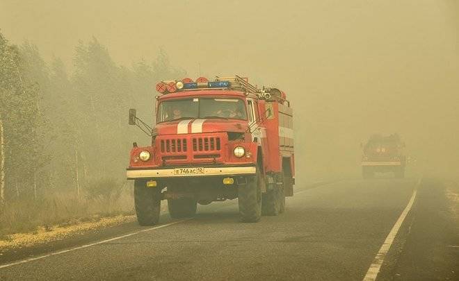 За сутки площадь лесных пожаров в Марий Эл увеличилась в 7,5 раз