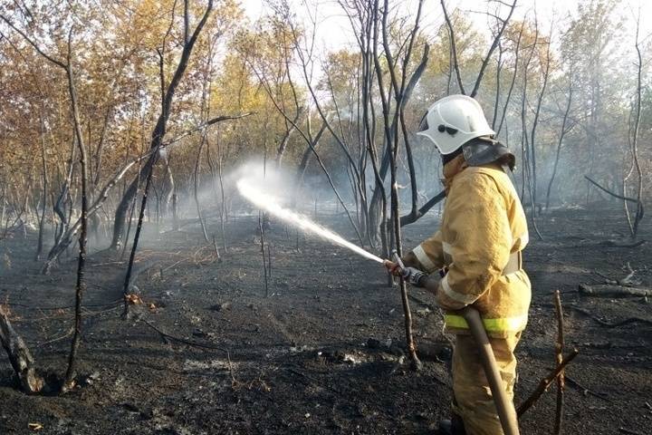 В Новосергиевском районе потушили природный пожар