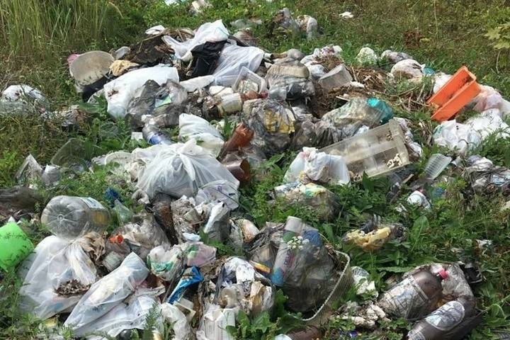 Жители Пронского района пожаловались на сброшенный за участками мусор