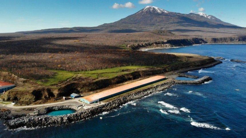 На Курильских островах хотят создать свободную налоговую зону